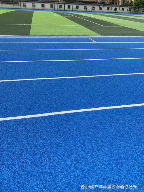 中国塑胶跑道十大品牌排行(2024年) 中国塑胶跑道十大品牌排行(2024年)
