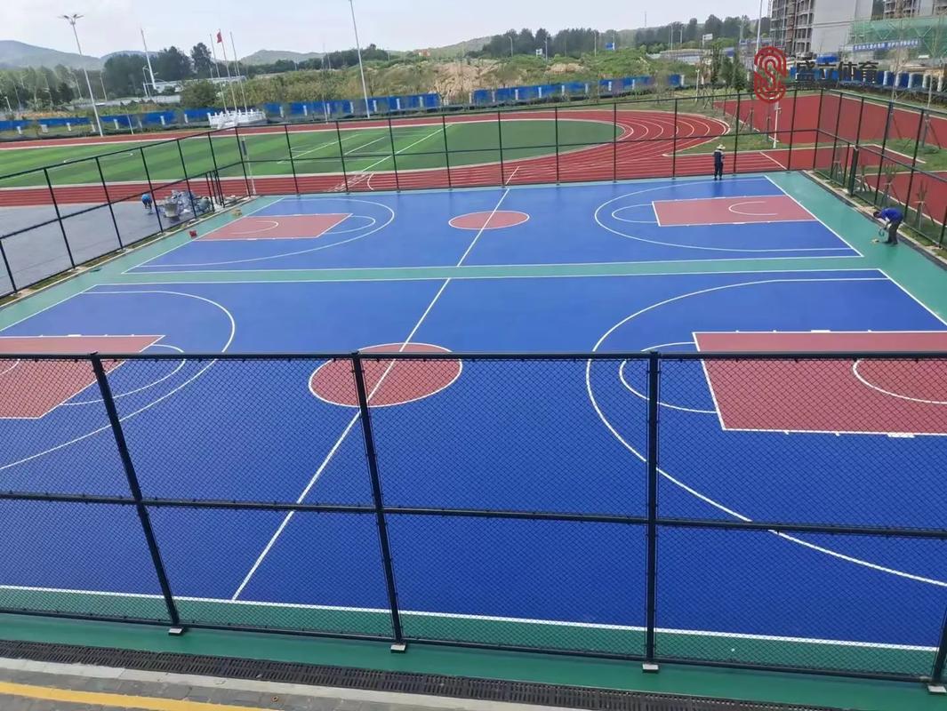 塑胶球场多少钱一平方 塑胶球场多少钱一平方