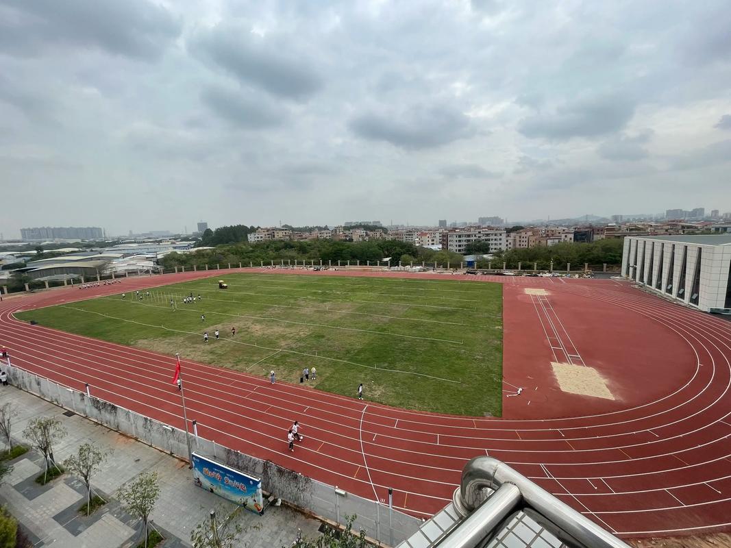 全塑型跑道和混合型跑道的区别 全塑型跑道和混合型跑道的区别