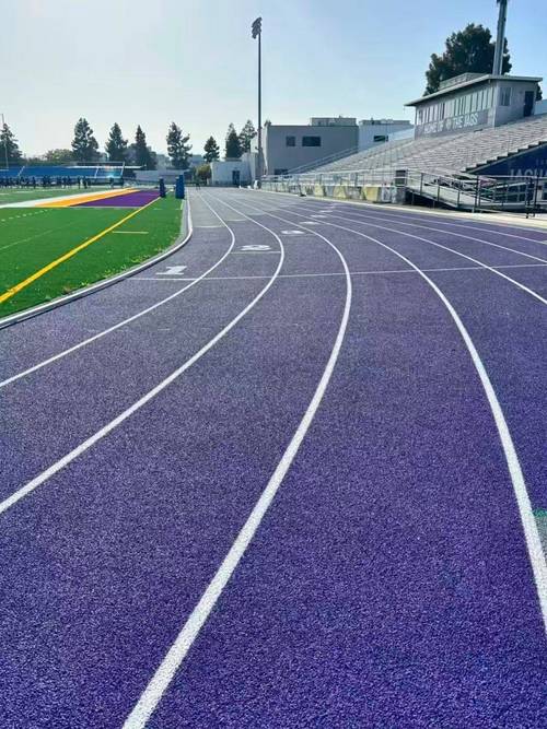 全塑型塑胶跑道价格一平方大概多少钱? 全塑型塑胶跑道价格一平方大概多少钱?